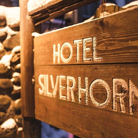Hotel Silverhorn Myoko Exterior foto